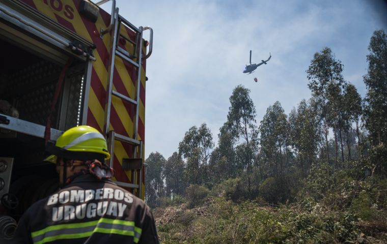 Firefighters fighting a fire in Piri&aacute;polis, Uruguay. Photo: Sebasti&aacute;n Astorga