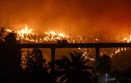 In the most recent government assessment, Chile reported 536 homes destroyed and said fires nationwide had affected over 34,000 hectares. Photo: EFE/Pablo Hidalgo