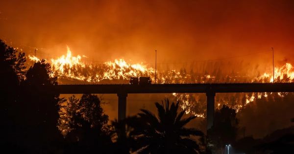 Chile wildfires: death toll rises to 20 as authorities report widespread destruction and arrest a suspect