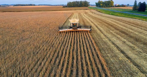 Brazil is expecting 353 million tons from the 2025/26 grains’ harvest