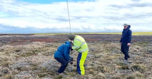 Falklands, Tussac restoration project to protect peatlands