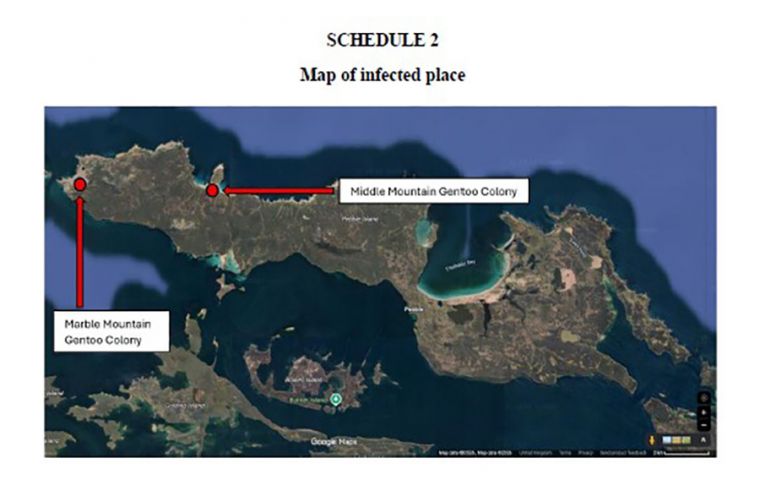 Map of Pebble island shows the two Gentoo colonies 