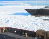 U.S. Coast Guard icebreaker frees luxury cruise ship trapped in Antarctic sea ice