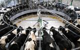 Dairy, sugar and pork prices were down during the first month of 2026