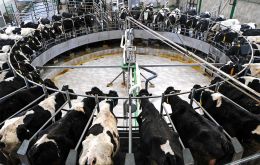 Dairy, sugar and pork prices were down during the first month of 2026