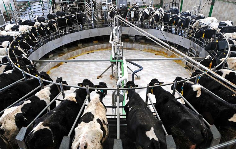 Dairy, sugar and pork prices were down during the first month of 2026