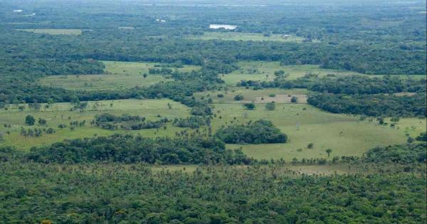 Colombia brings 12 Mexican Mennonites to trial over deforestation