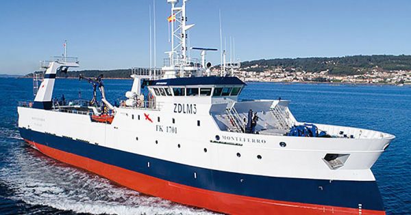 Falklands: Loligo squid returns, “sufficient biomass abundance” for fishing season