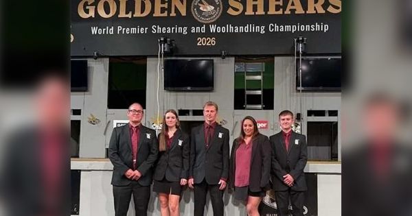 Falklands celebrate success of Shearers and Wool-handlers Team at world Golden Shears competition in New Zealand