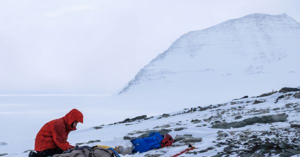 International project validates renewable hydrogen energy systems in Antarctica