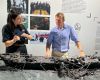 The 3D printed model of the Endurance wreck, produced by the Falklands Maritime Heritage Trust from data captured during the Endurance22 expedition, will go on display at Discovery Point in Dundee