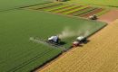 Global fertilizer supply chain faces simultaneous pressures: Chinese restrictions on phosphate exports, US tariffs that reduced nutrient imports, and the disruption of transit through Hormuz