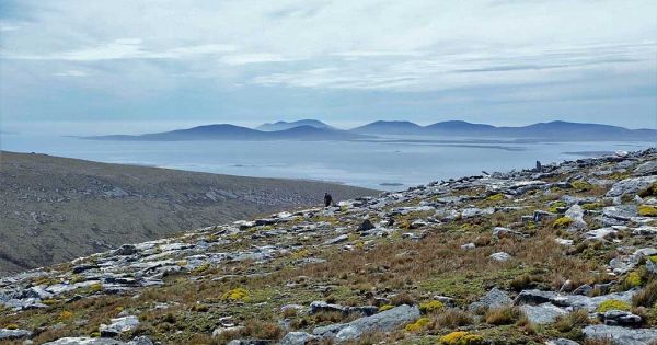 Falklands launches consultation on proposed National Nature Reserves