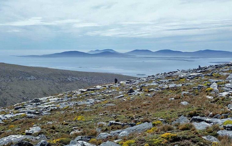 The proposed reserves are located on land owned by the Falklands Islands Government (FIG), Falklands Conservation, or other private landowners. 