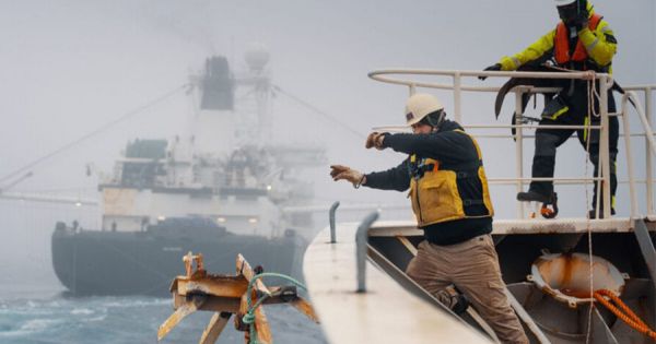 Falklands Government denies MV Bandero access over “questionable actions” at sea