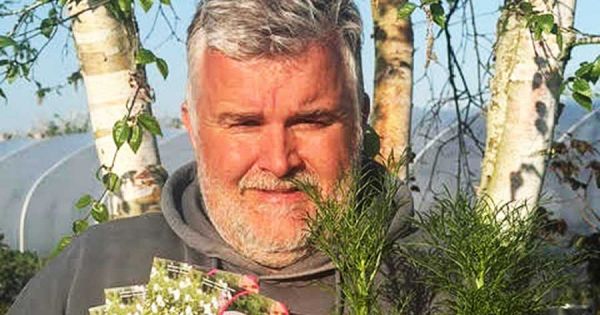 Falklands, Plant Heritage seeds to turn the Islands into a Cosmos garden