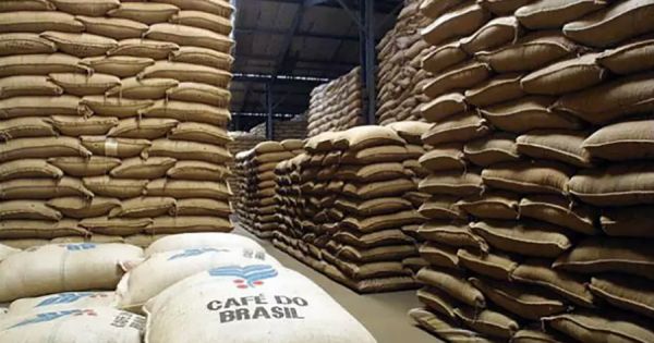 Brazil coffee exports fall 21% in Q1 despite record crop forecast