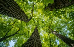 De Barros said President Santiago Pe&ntilde;a received the delegation and expressed confidence that if ”all processes of interest with Singapore are completed