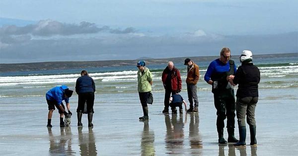 Falklands: Uruguay Sciences Faculty researching sandy beaches of the Islands