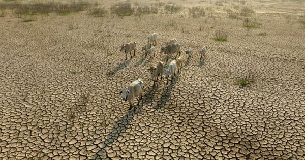 FAO and WMO warn extreme heat pushes global agriculture 'to the limit,' threatening one billion people