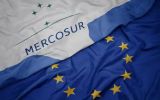 The EUDR is expected to have a greater impact in the coming years, given the growing trade ties between Mercosur and the European Union.