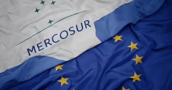 Brazilian platform to track commodity chains ahead of EU deforestation rules