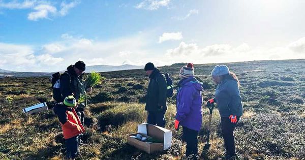 Falklands, public consultation on Nature Reserves closes 5 May