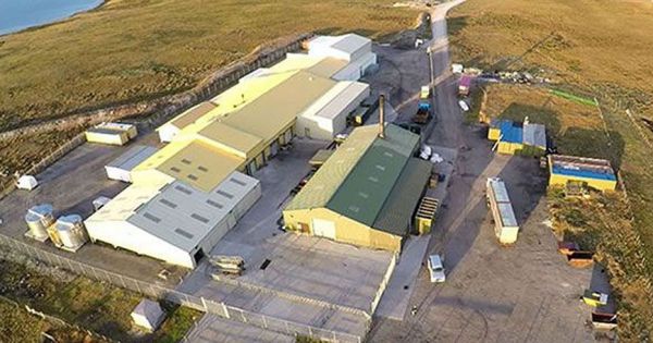 Falklands, financial advance for FIMCO and calcified kelp license to improve soil for cattle forage