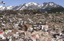 Several of the roughly 150 tourists who set sail for Cape Verde on 1 April had visited the landfill, which is frequented by birdwatchers from around the world, drawn by scavenger species