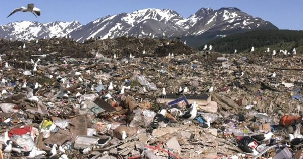 Ushuaia landfill scrutinized in cruise ship hantavirus outbreak probe