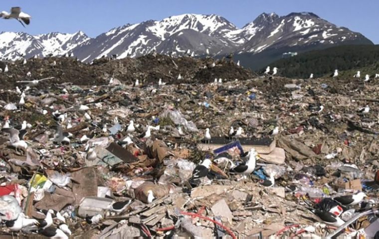 Several of the roughly 150 tourists who set sail for Cape Verde on 1 April had visited the landfill, which is frequented by birdwatchers from around the world, drawn by scavenger species