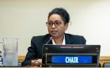 Ambassador Menissa Rambally of Saint Lucia, Chair of the Special Committee, will preside over the Seminar.