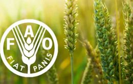 World wheat prices rose 3.4 percent on May and 7.8 percent from their year-earlier level, supported by smaller expected harvests in major exporters, such as US