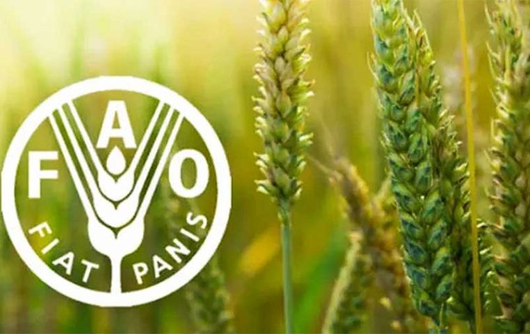 World wheat prices rose 3.4 percent on May and 7.8 percent from their year-earlier level, supported by smaller expected harvests in major exporters, such as US