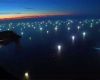 The foundation warned that, if the current level of exploitation continues, resources that are strategic for the economy could be compromised
