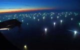 The foundation warned that, if the current level of exploitation continues, resources that are strategic for the economy could be compromised