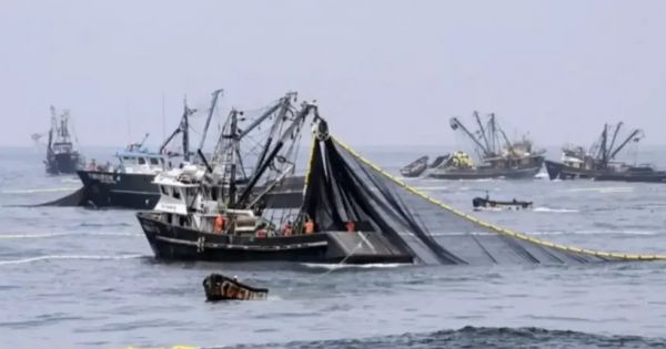 Report warns foreign fleets off Argentina catch up to four times the national industry's haul