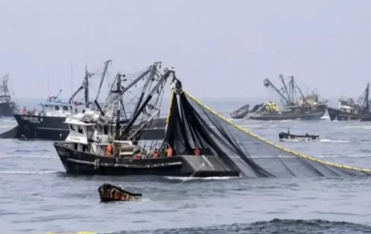 The foundation warned that, if the current level of exploitation continues, resources that are strategic for the economy could be compromised