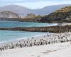 Falklands celebrated Environment and Oceans awareness last Sunday