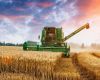 FAO expects world cereal output and trade projected to decline in year ahead