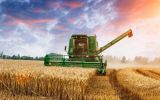 World cereal utilization is forecast to increase by 0.6% in 2026/2027, slowing down from the 2.7% pace recorded in the previous season