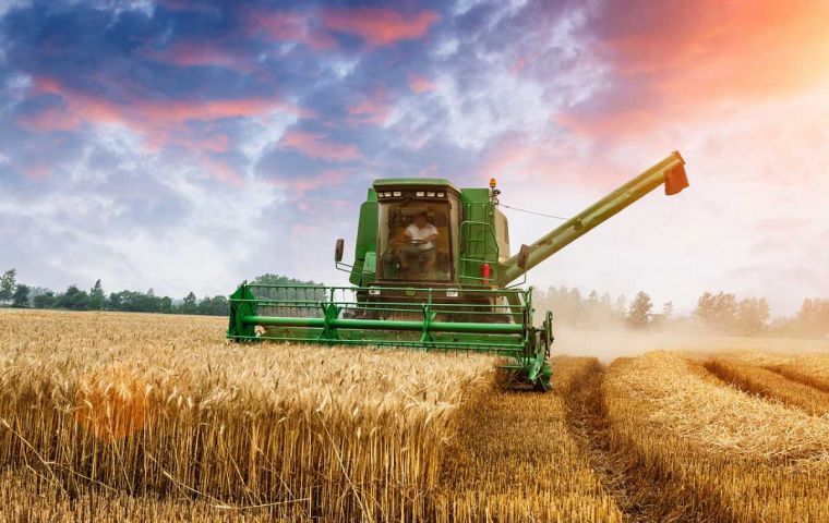 World cereal utilization is forecast to increase by 0.6% in 2026/2027, slowing down from the 2.7% pace recorded in the previous season