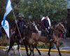South America’s Equestrian Powerhouse: How the Region Breeds Some of the World’s Most Competitive Racehorses