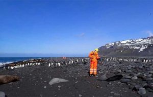 Ground and aerial surveys conducted in October 2025 and January 2026 counted 13,300 dead elephant seal pups. (Pic AFP)