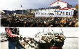  Falklands were hit hard with tariffs and quotas in its exports to EU because of Brexit