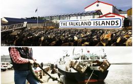  Falklands were hit hard with tariffs and quotas in its exports to EU because of Brexit