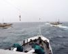Report says Chinese firms control nearly two-thirds of the squid fleet in Argentina's waters