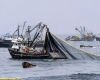 Argentina joins FAO treaty against illegal fishing, tightening control in the South Atlantic