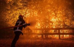In France, more than 160,000 hectares have burned and some 13,566 fires or outbreaks have been recorded so far this season