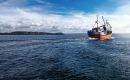 In late 2025 Fortuna Ltd acquired Ocean Fish Group, a fishing and processing company based in Cornwall, England.